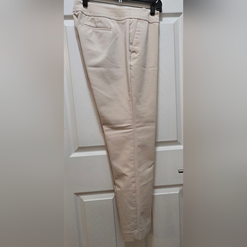 Women's Ann Taylor Factory Dress Pants, Size 8, Stone/tan